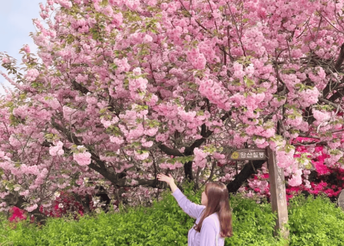 5月最佳旅遊國家｜2. 韓國